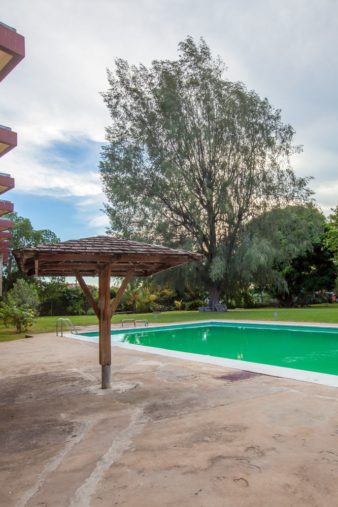 New Kingston Guest Apartments At Seymour Dış mekan fotoğraf