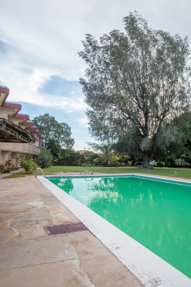 New Kingston Guest Apartments At Seymour Dış mekan fotoğraf
